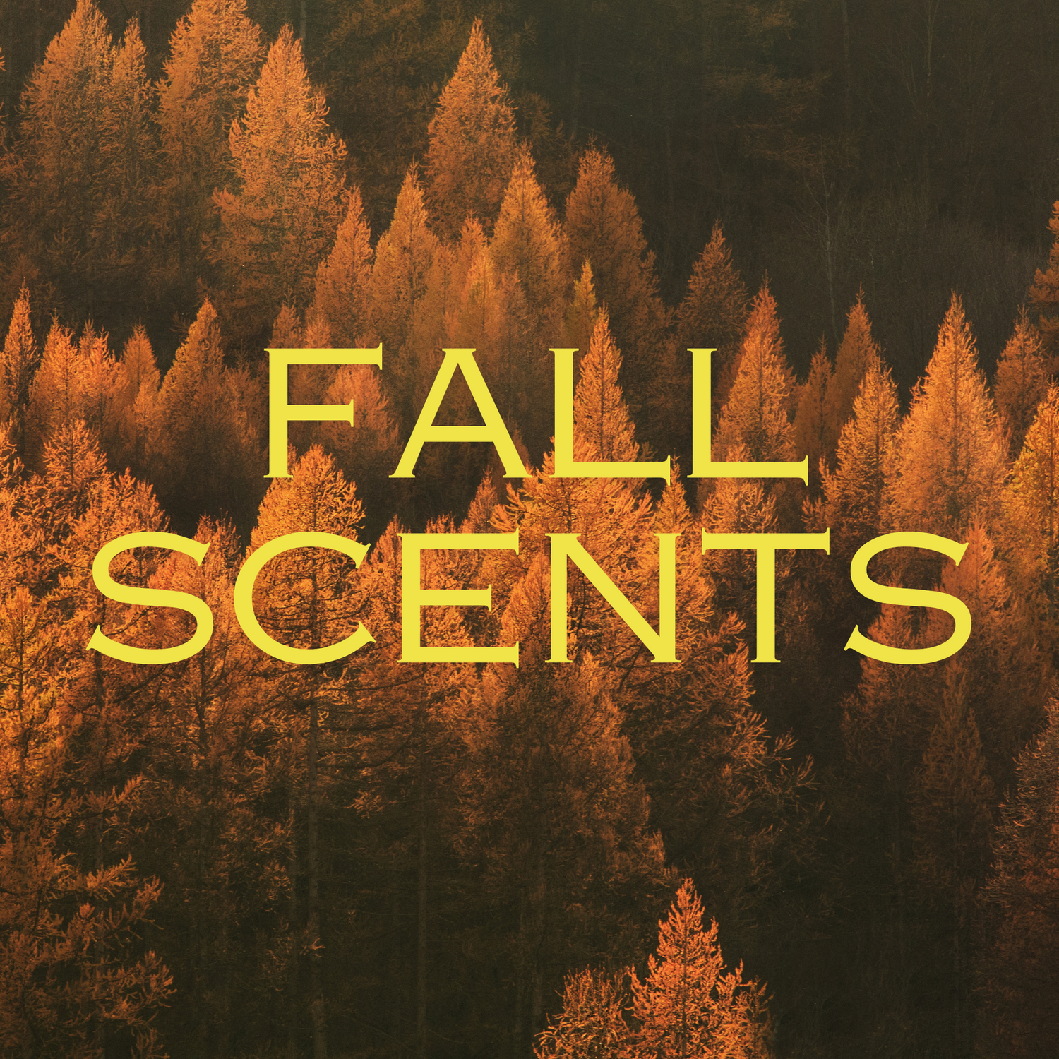 Fall Scents